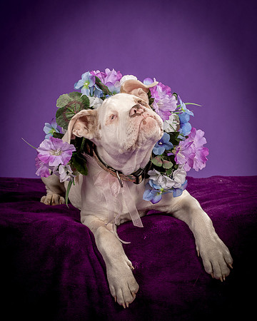 Foster Babette-1565