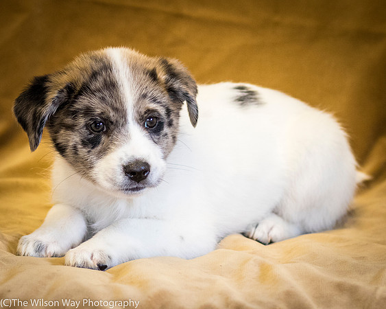 Foster Mira Jane-0303