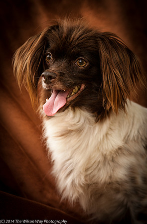 Foster Cerise-2291