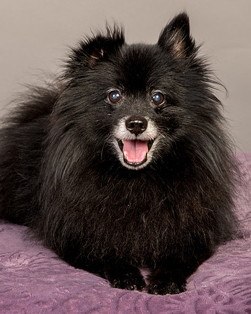 Foster Wayne-8298