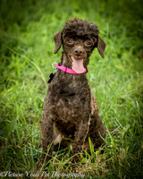 Foster Edna-2930