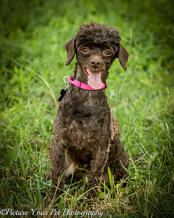 Foster Edna-2930