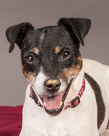 Foster Pollyanna-3810