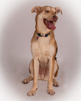 Foster-24-MW-3852