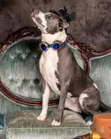 Foster Juliana-8061