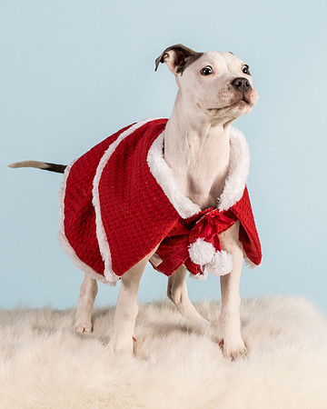 Foster Luna-4743