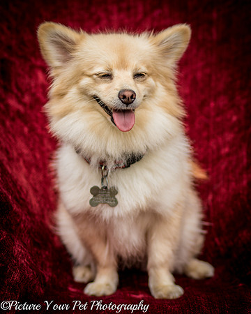 Foster Shirley-6093