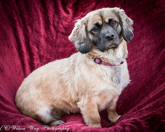 Foster Trudy-39