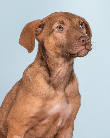 Foster Bronwyn-8366