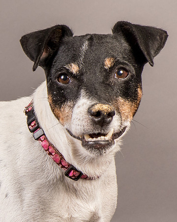 Foster Pollyanna-4009