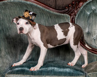 Foster Luna-4663