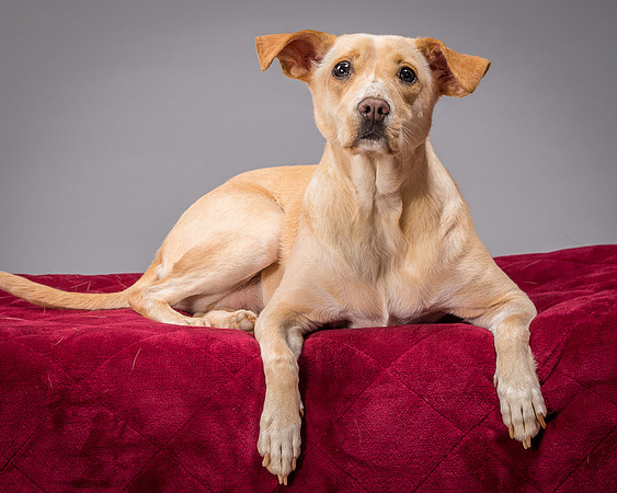 Foster June-3493