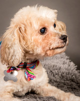 Foster Kya-8351
