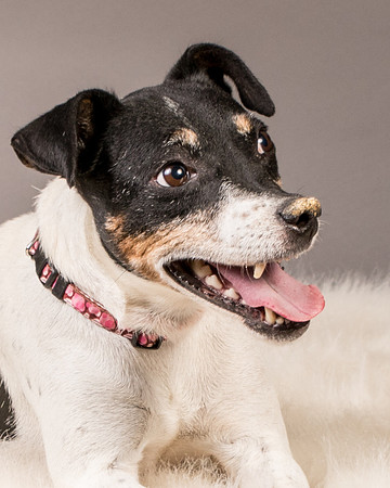 Foster Pollyanna-3914