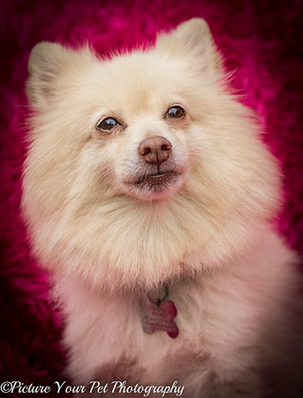 Foster Laverne-6357
