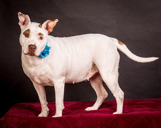 Foster Joanie-0463