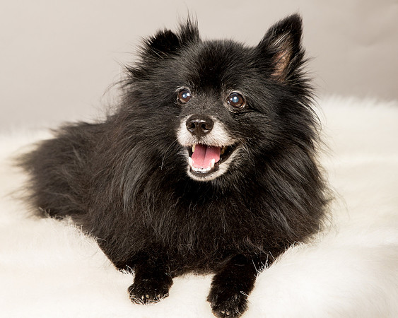 Foster Wayne-8091