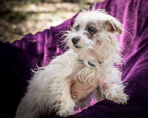 Foster Zuzu-6375