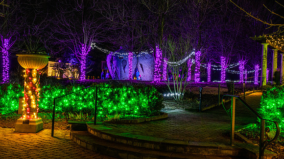 Christmas-2580