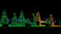 Christmas-2524