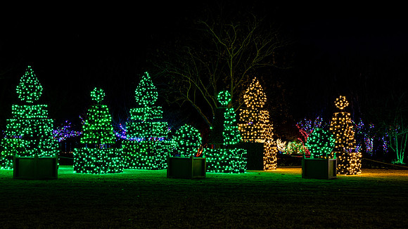 Christmas-2524