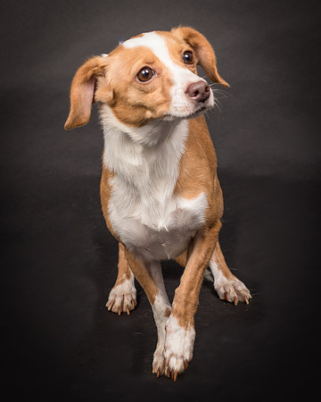 Foster Schroeder-1214