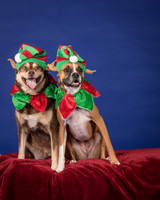 Spivey-Presley and Paige-7591