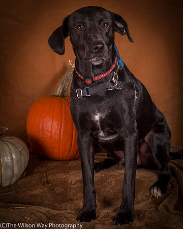 Foster Charles-5208