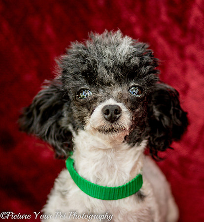 Foster Lillian-3004