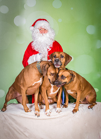 Santa Claus-3307
