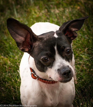 Foster Melia-9830