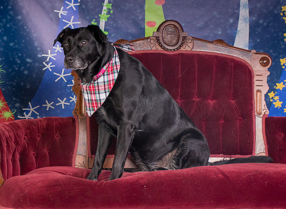 Foster Beatrice-3987
