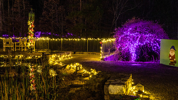 Christmas-2597