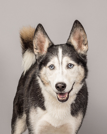 Bella-2469