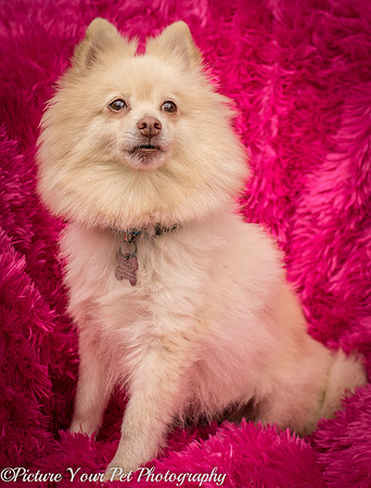 Foster Laverne-6327