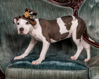 Foster Luna-4662