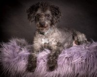 Foster Mokey-1325