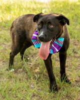 Darlington -Melanie-9417
