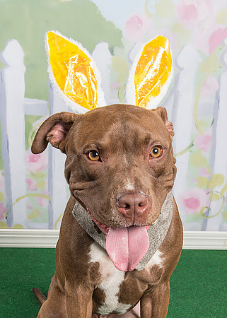 2016Mar12_3582 brianna