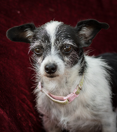 Foster Olive-7689