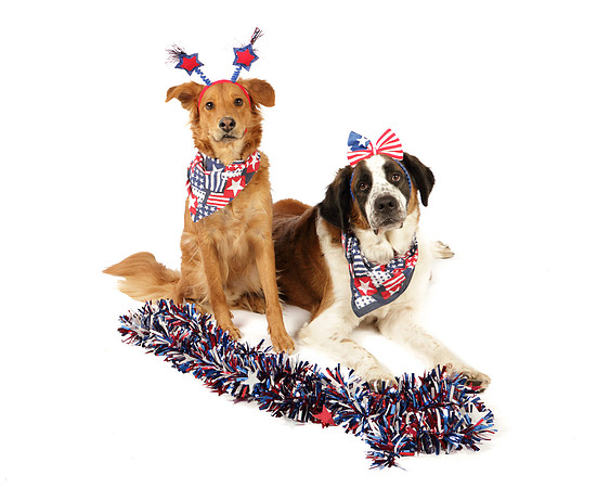 Ollie and Heidi-8319