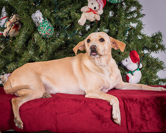 Foster June-3577