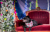 Foster Beatrice-3977