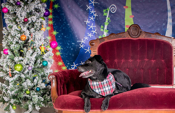 Foster Beatrice-3977