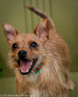 Foster Harry-3618