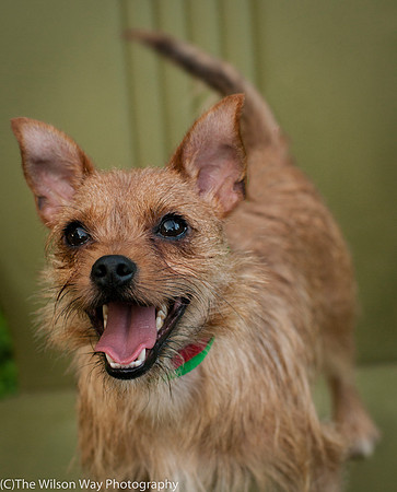 Foster Harry-3618