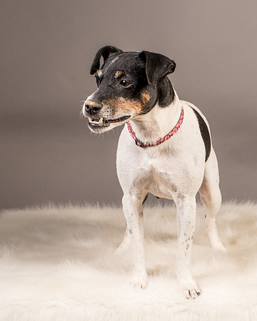 Foster Pollyanna-3957