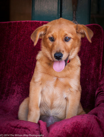 Foster Luna-9123