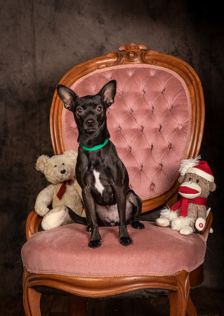 Foster Elvira-0175