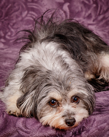 Foster Alex-6278